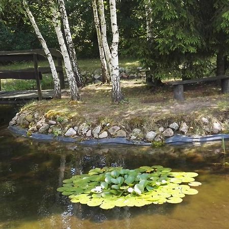 Siedlisko Gruszki Puszcza Bialowieska Narewka Exterior foto