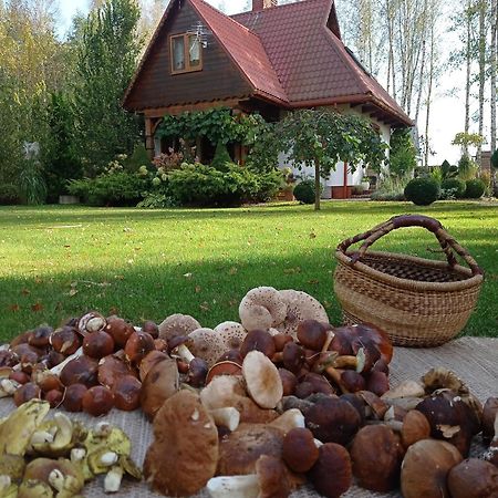 Siedlisko Gruszki Puszcza Bialowieska Narewka Exterior foto