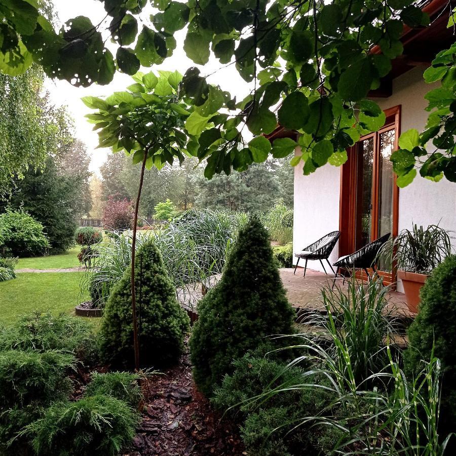 Siedlisko Gruszki Puszcza Bialowieska Narewka Exterior foto