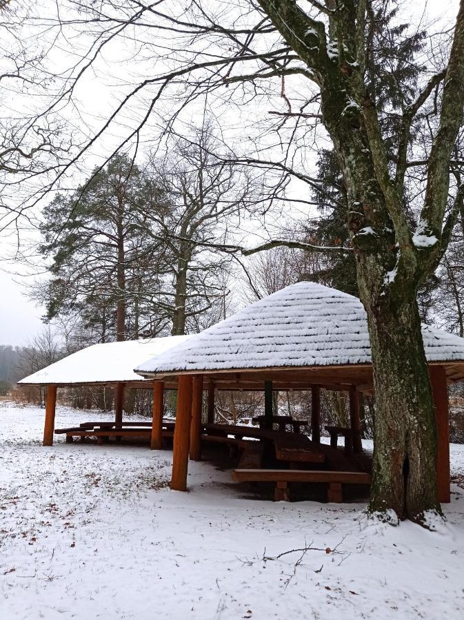 Siedlisko Gruszki Puszcza Bialowieska Narewka Exterior foto