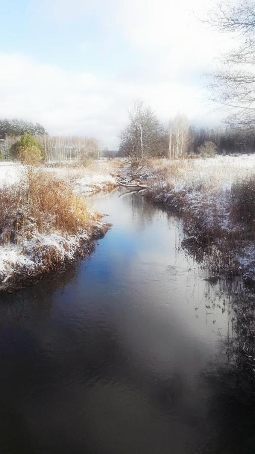 Siedlisko Gruszki Puszcza Bialowieska Narewka Exterior foto