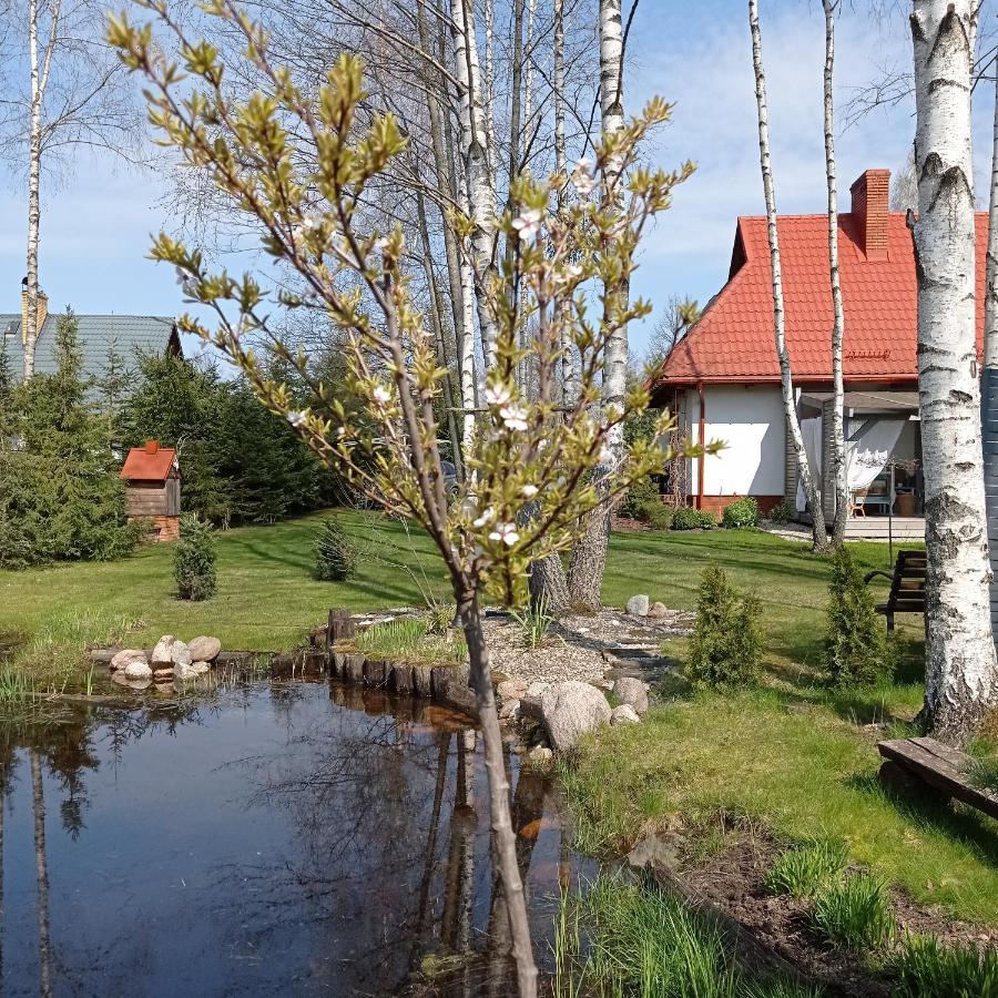 Siedlisko Gruszki Puszcza Bialowieska Narewka Exterior foto